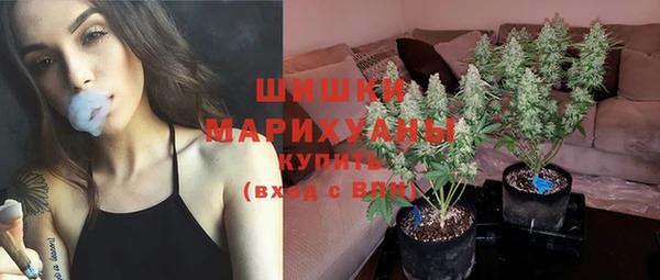2c-b Белокуриха