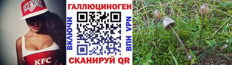 Галлюциногенные грибы мухоморы  Кузнецк 
